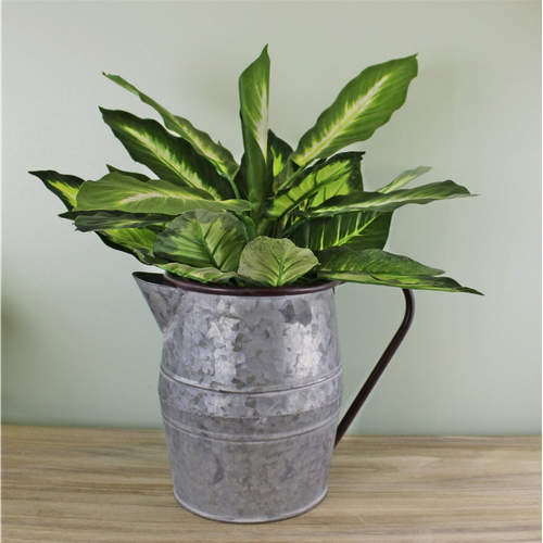 Charming Vintage Metal Jug Planter - Perfect for Herbs & Flowers!