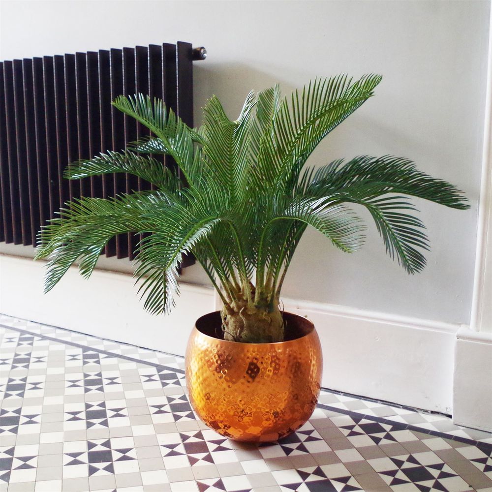 Stunning 80cm Artificial Cycas Palm - Modern Tropical Decor Accent