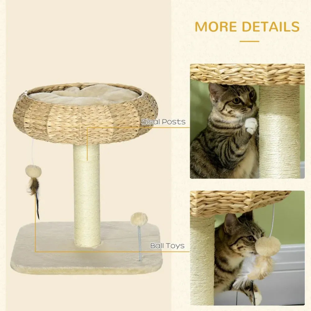 Deluxe 51cm Cat Tree with Cozy Bed, Toy Ball & Durable Scratching Post