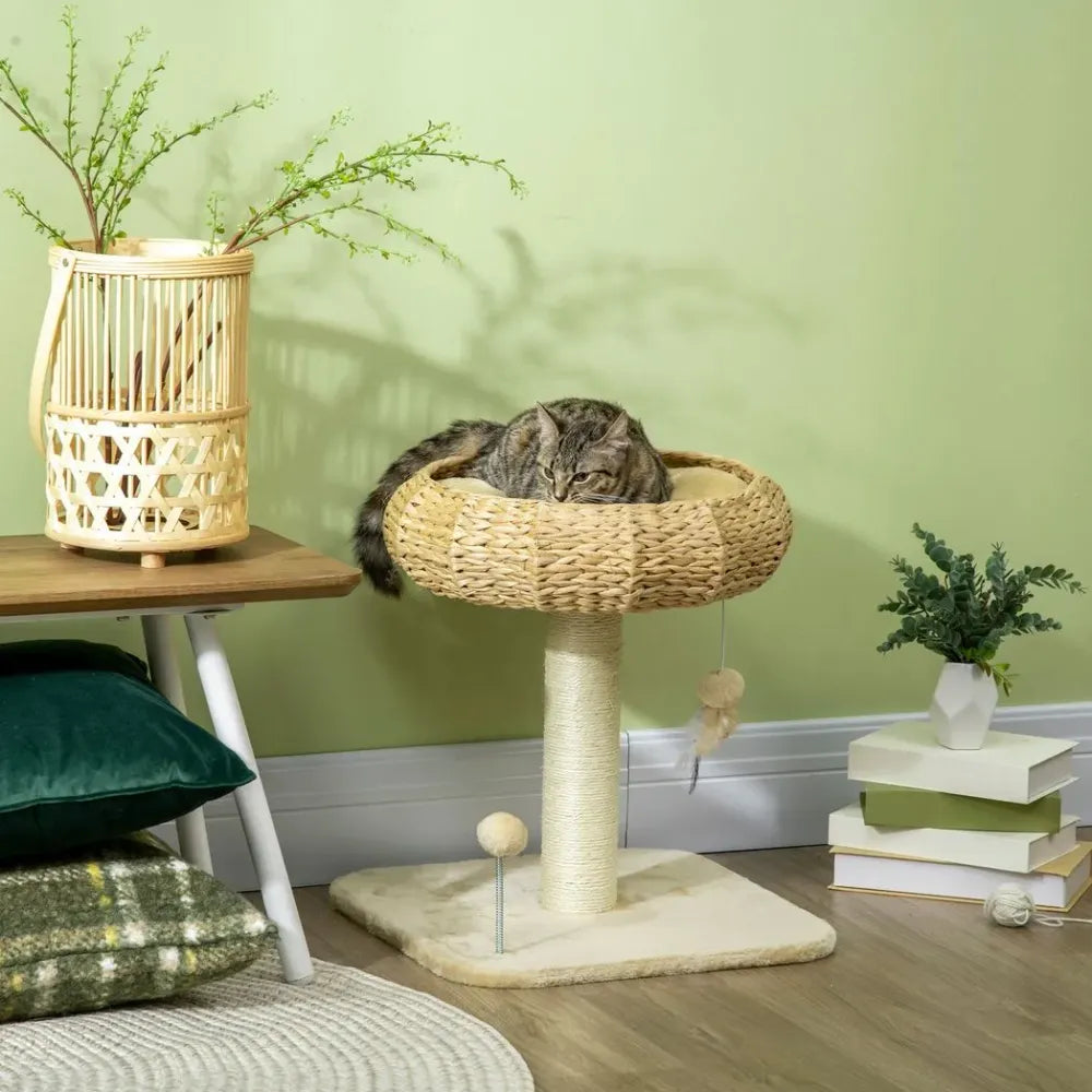 Deluxe 51cm Cat Tree with Cozy Bed, Toy Ball & Durable Scratching Post