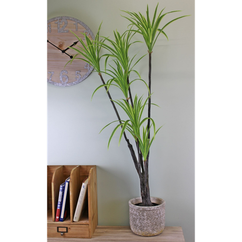 Realistic 120cm Artificial Dracaena Marginata Tree for Any Space