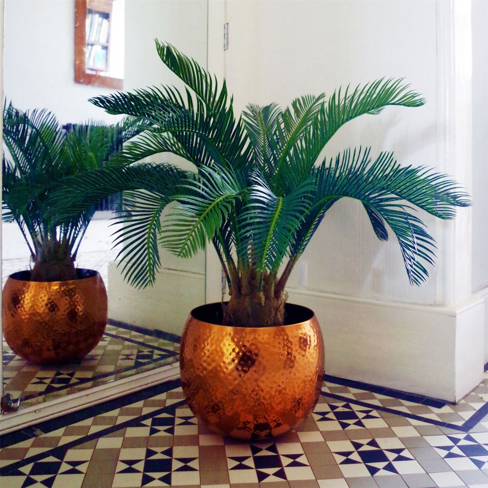 Stunning 80cm Artificial Cycas Palm - Modern Tropical Decor Accent