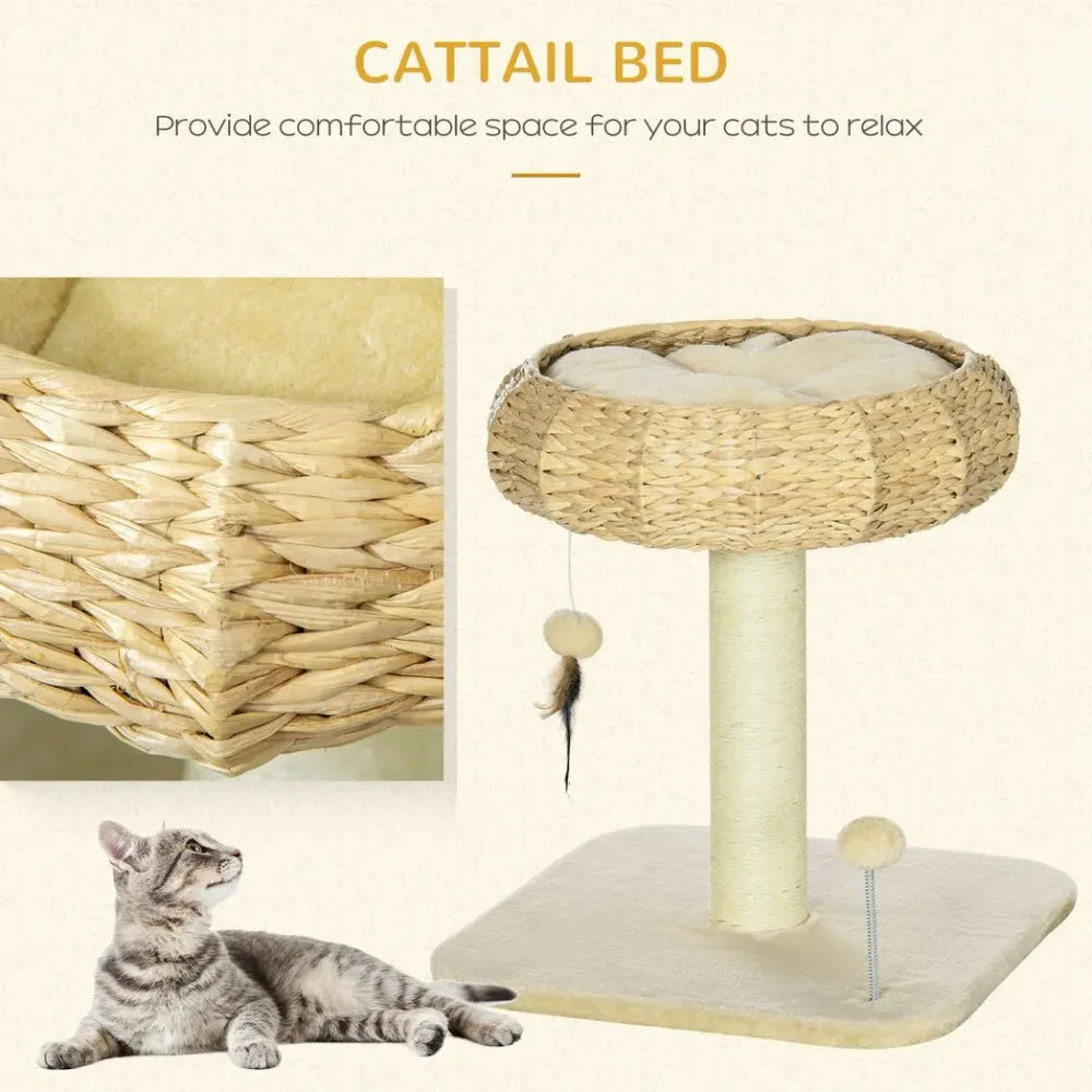 Deluxe 51cm Cat Tree with Cozy Bed, Toy Ball & Durable Scratching Post